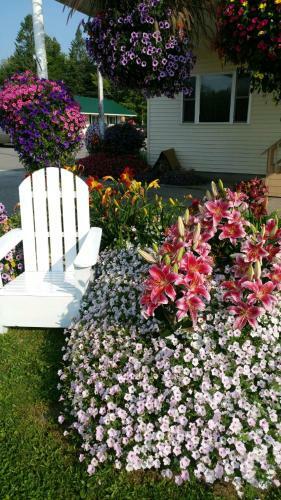 Sunset Motel Of St. Ignace