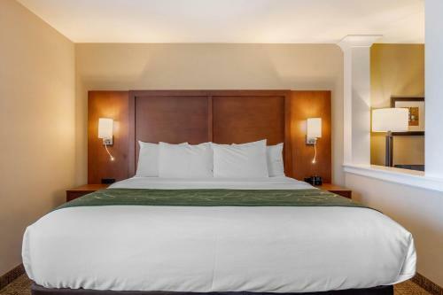 Hotel Comfort Inn & Suites Schenectady - Scotia