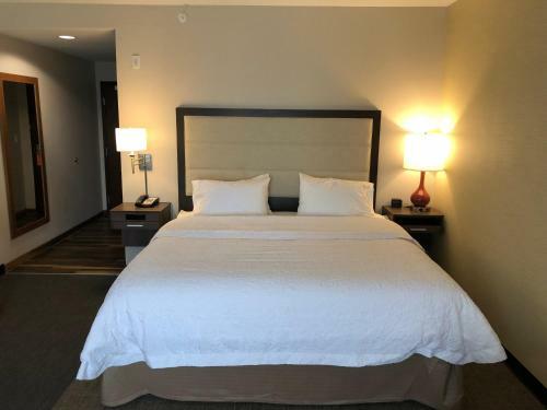 Hotel Hampton Inn & Suites Ponca City