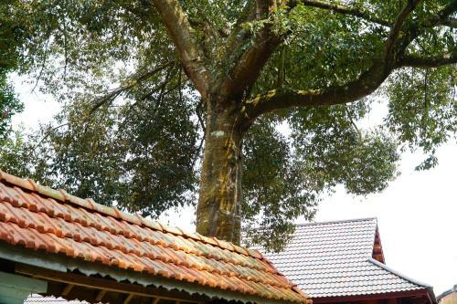 Huy Trung Homestay