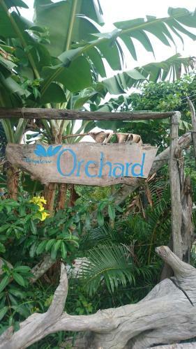 Lodge Orchard Fruit Farm Bungalow