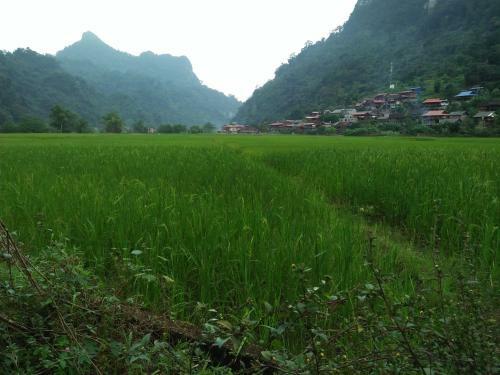 Thai An Homestay At Ba Be