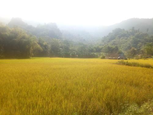 Thai An Homestay At Ba Be