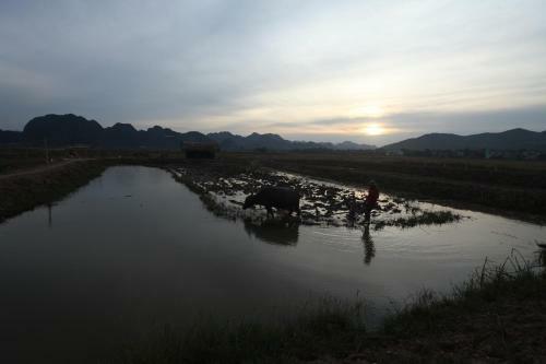 Phong Nha Tarzan's Homestay