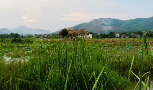 Phong Nha Tarzan's Homestay