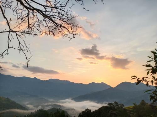 Dao Homestay