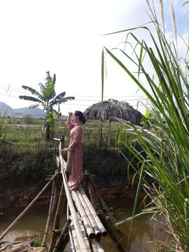 Bai Dinh Eco Homestay