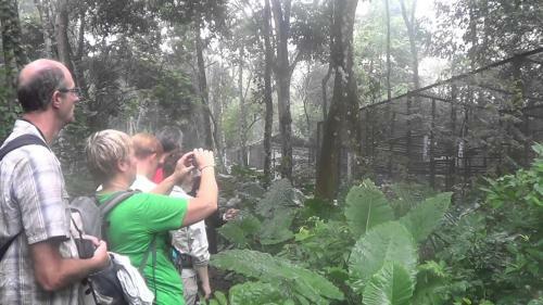 Phuong Thao Homestay