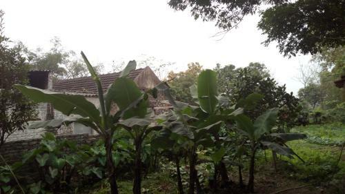 Apartamento Hoang Homestay