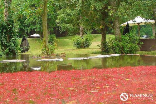 Flamingo Villa Happy Bt