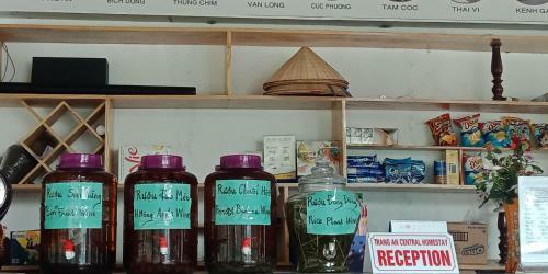 Trang An Central Homestay