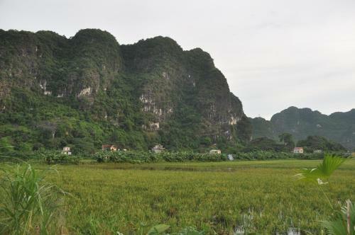 Lodge Trang An Valley Bungalow