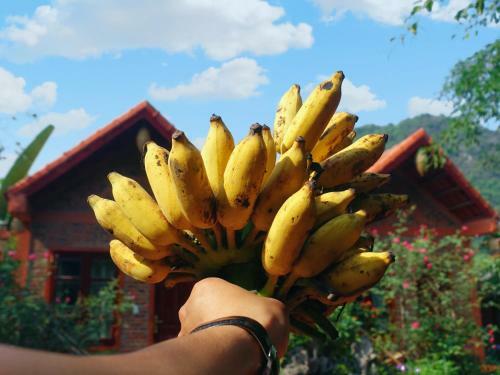 Trang An Village Homestay