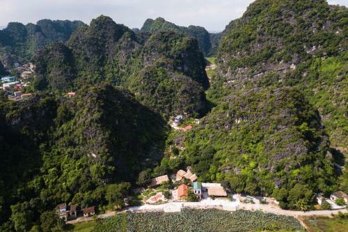 Lodge Green Mountain Homestay