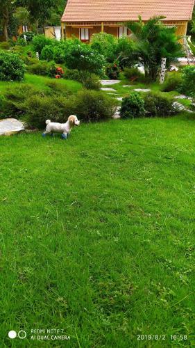 Lodge Green Mountain Homestay
