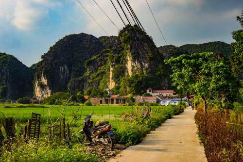 Tam Coc Bamboo