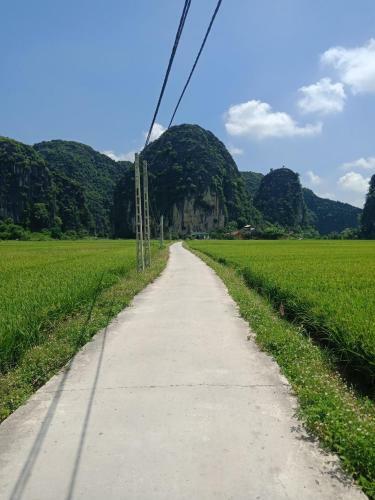 Lodge Tam Coc Valley Bungalow