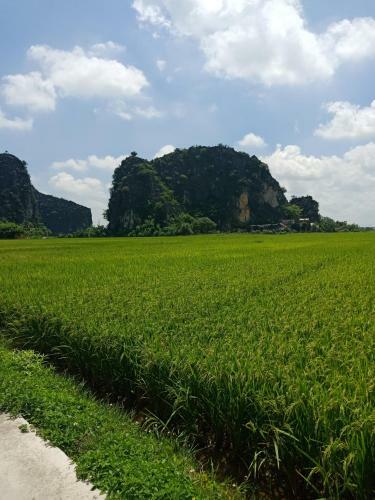 Lodge Tam Coc Valley Bungalow