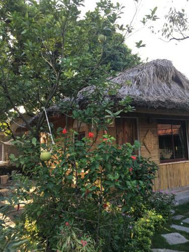 Lodge Tam Coc Palm House