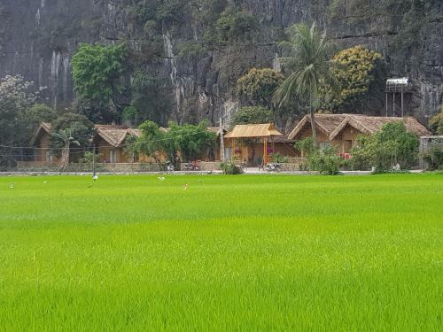 Lodge Tam Coc Horizon Bungalow