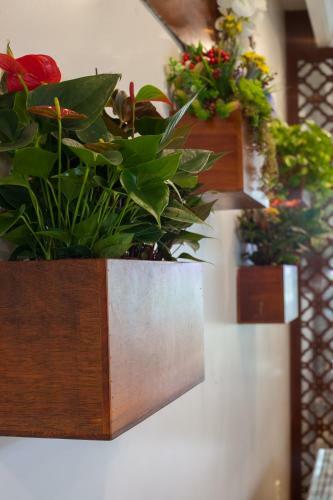 Coral Phu Quoc Hotel