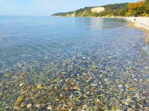 Hostal Orekhovo Zolotoy Bereg Guest House