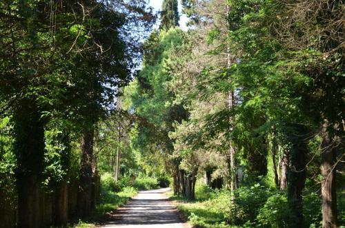 Posada Solnechny Bereg Guest House