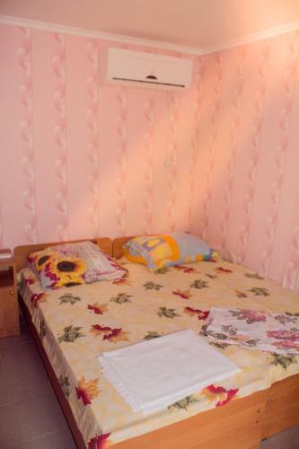 Hostal Guest House U Larisy