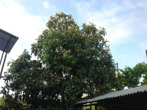 Hostal Guest House In Gudauta