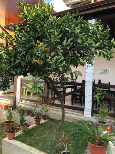 Hostal Guest House Lermontov