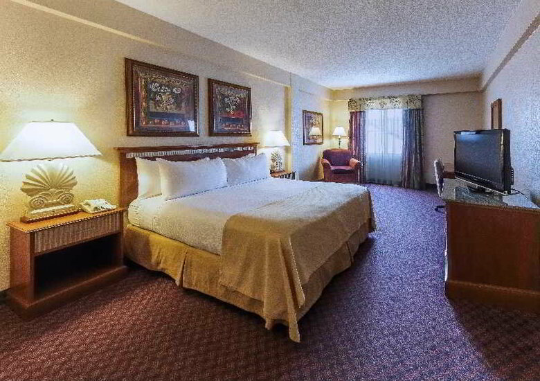 Hotel Holiday Inn Chateau Le Moyne