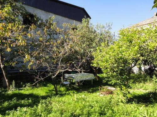 Apartamento Guest House Lakoba 32