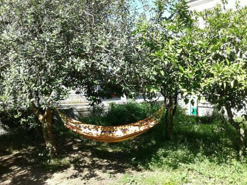 Apartamento Guest House Lakoba 32