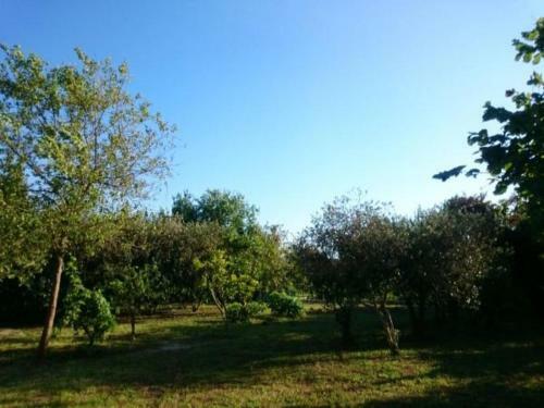 Hostal Guest House On Lakoba 4