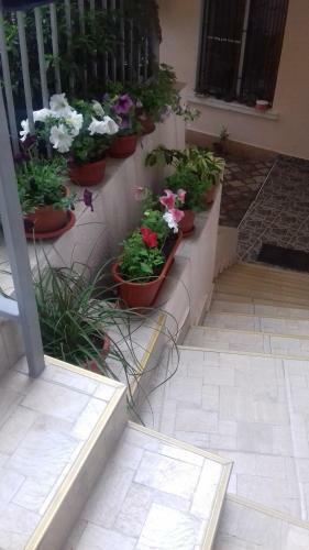 Hostal Guest House Yana
