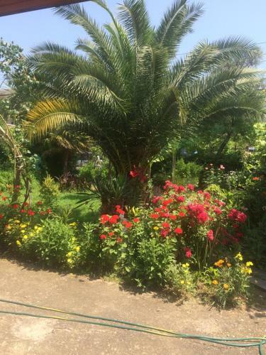 Bed & Breakfast Guesthouse Mira