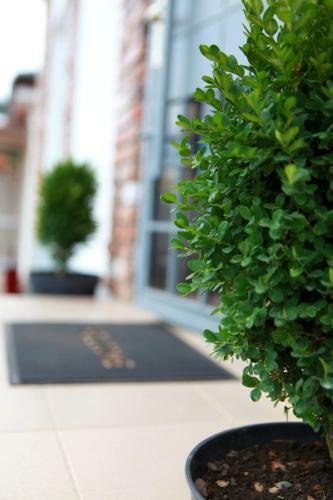 Hostal Black Sea Guesthouse