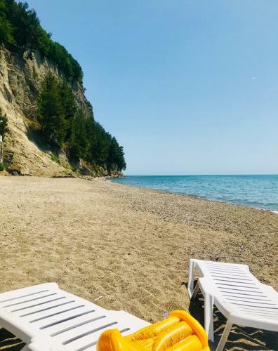 Hotel Arbica Pension