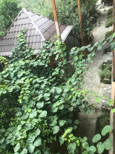 Hostal Guest House On Fabrichnaya