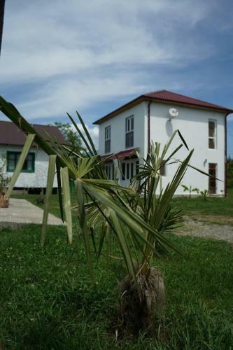 Hostal Leto Land Guest House