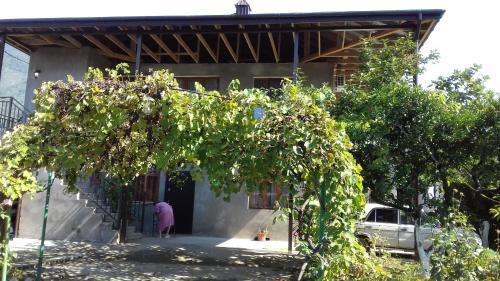 Hostal Guest House Zelenyi Dvorik