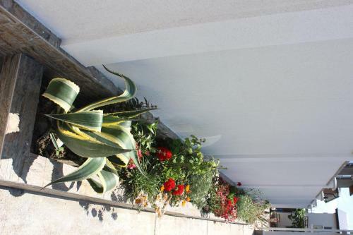 Hostal Guest House Irina