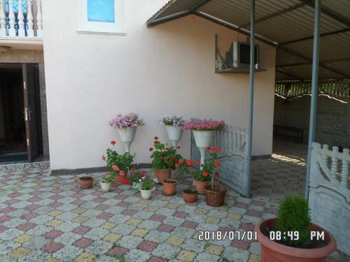 Hostal Guest House "d'plyaz"