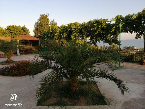 Hostal Guesthouse Aza&karlen