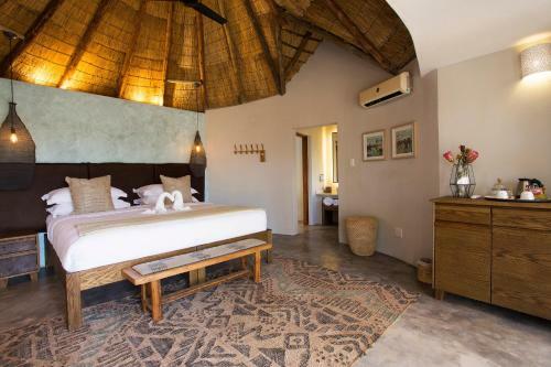 Lodge Misava Safari Camp - Klaserie Drift