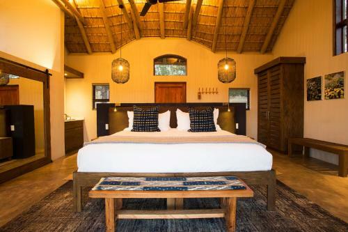 Lodge Misava Safari Camp - Klaserie Drift