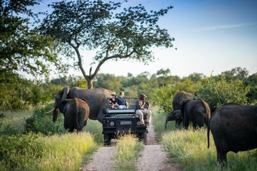 Lodge Simbavati Machaton Camp