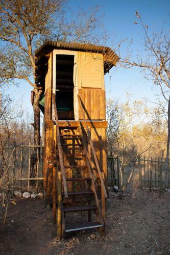 Ximongwe Safari Camp