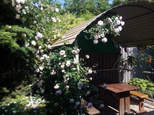 Hostal Na Sadovoy Guesthouse