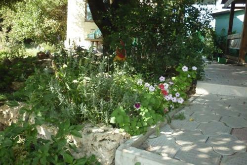 Hostal Tikhaya Gavan Guest House